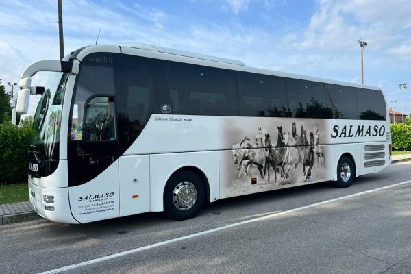 WhatsApp Image 2023-08-11 at 08.54.43